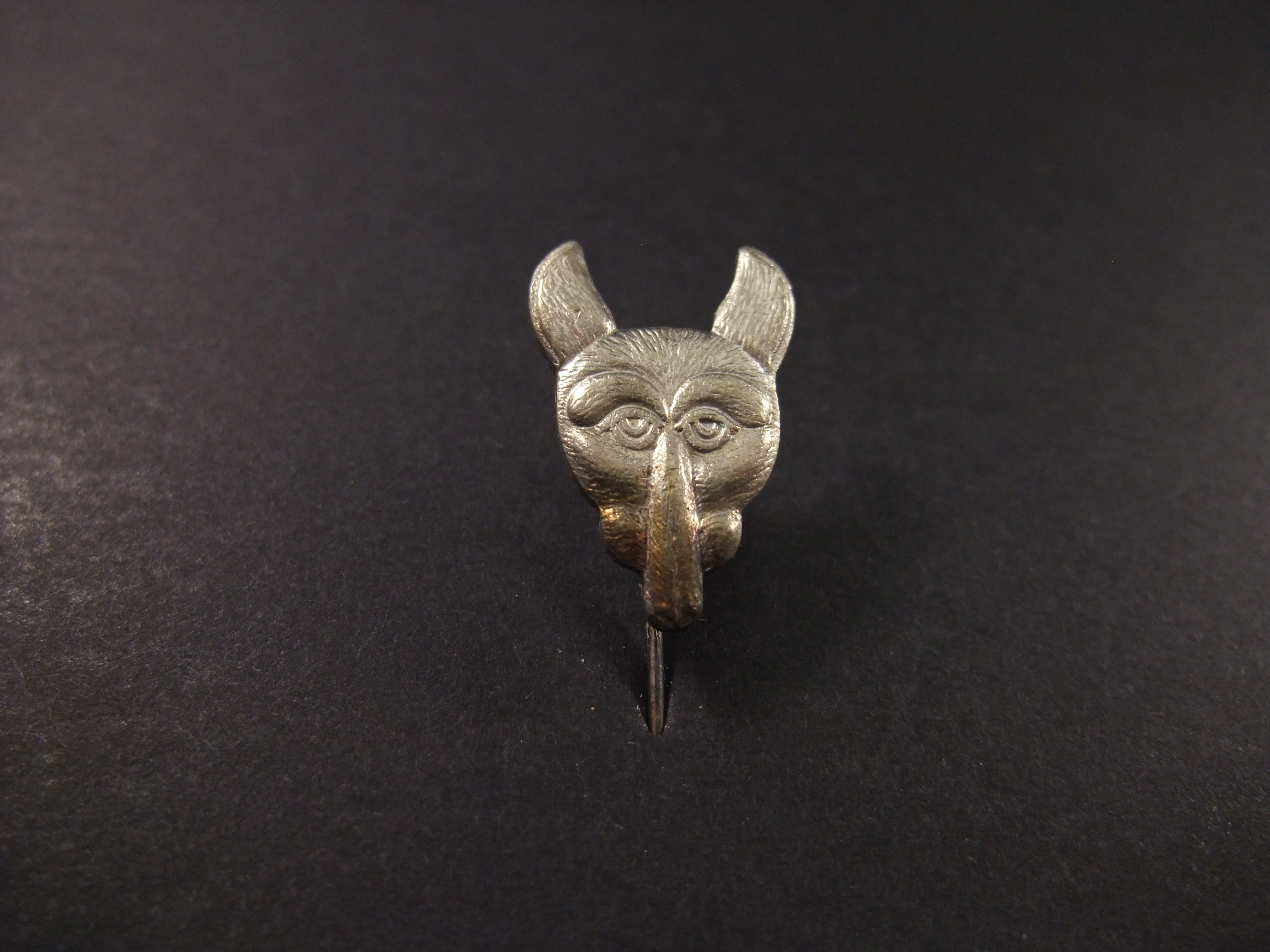 Boy Scouts Wolf Cub